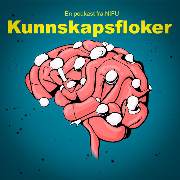Aktuelle kunnskapsfloker